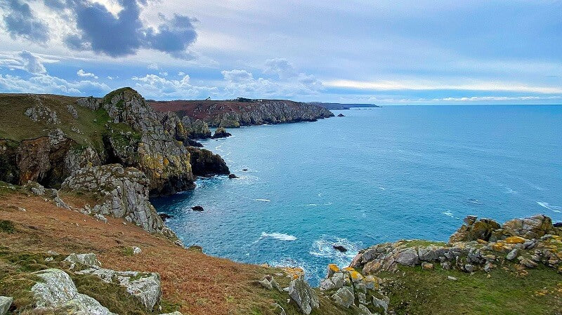 Falaises de la réserve du cap Sizun, Goulien