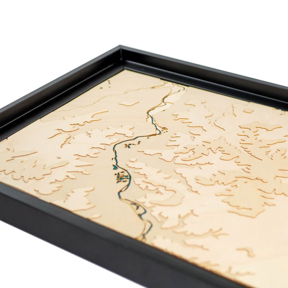 Détails du relief de la carte d'Auxerre en bois