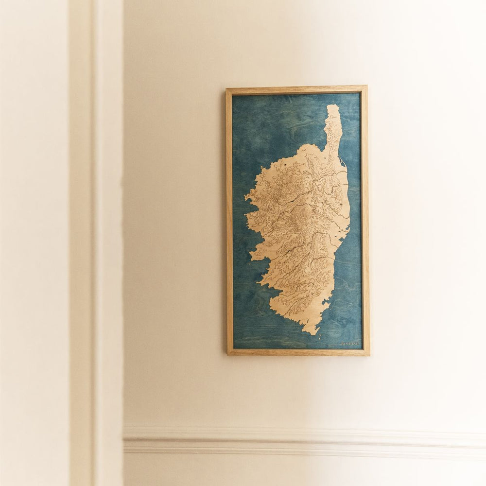 Carte topographique en relief de la Corse