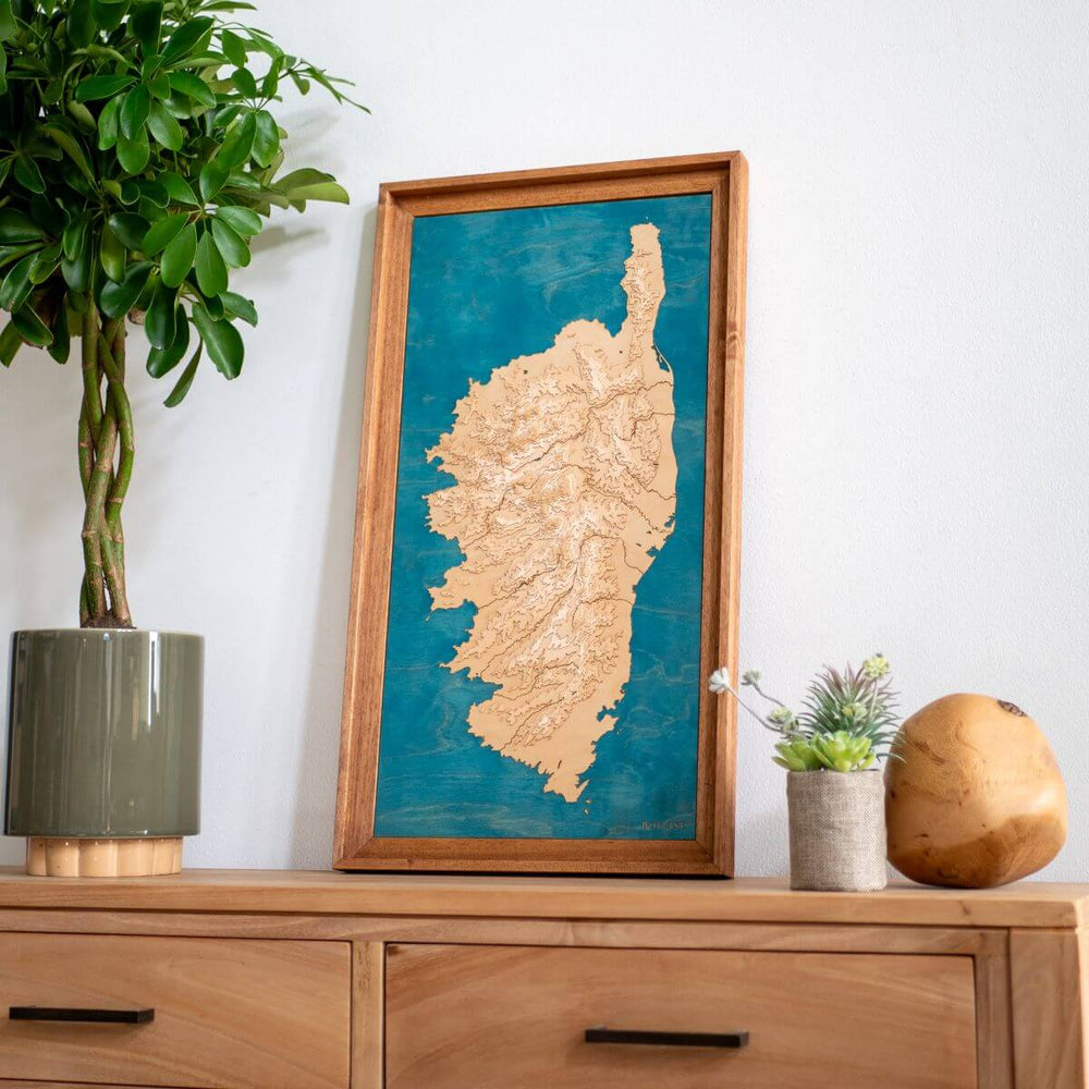 Carte topographique en relief de la Corse