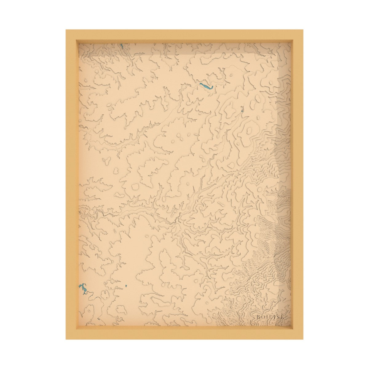 Taillard Forest Map