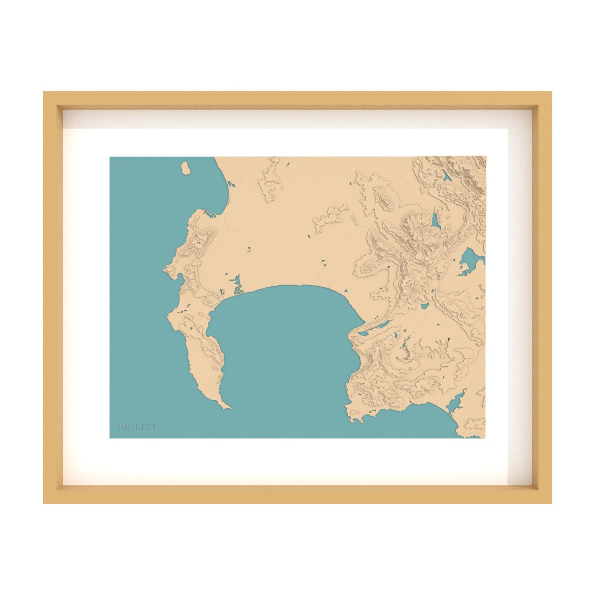 Map of the Cape and False Bay