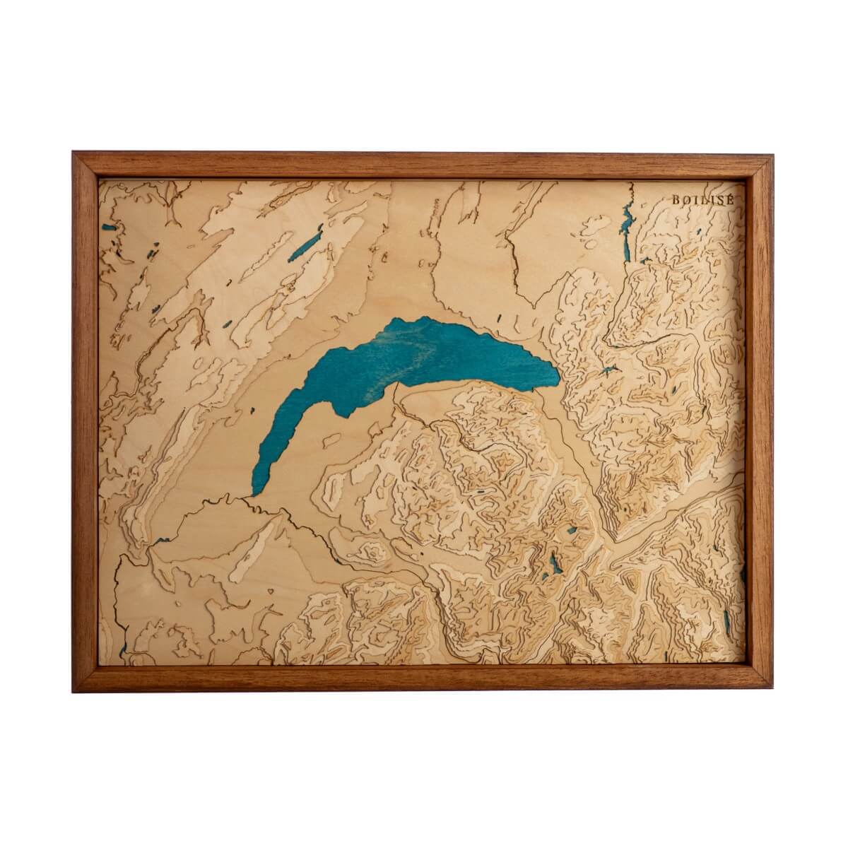 Tableau en bois personnalisé : Le lac Léman