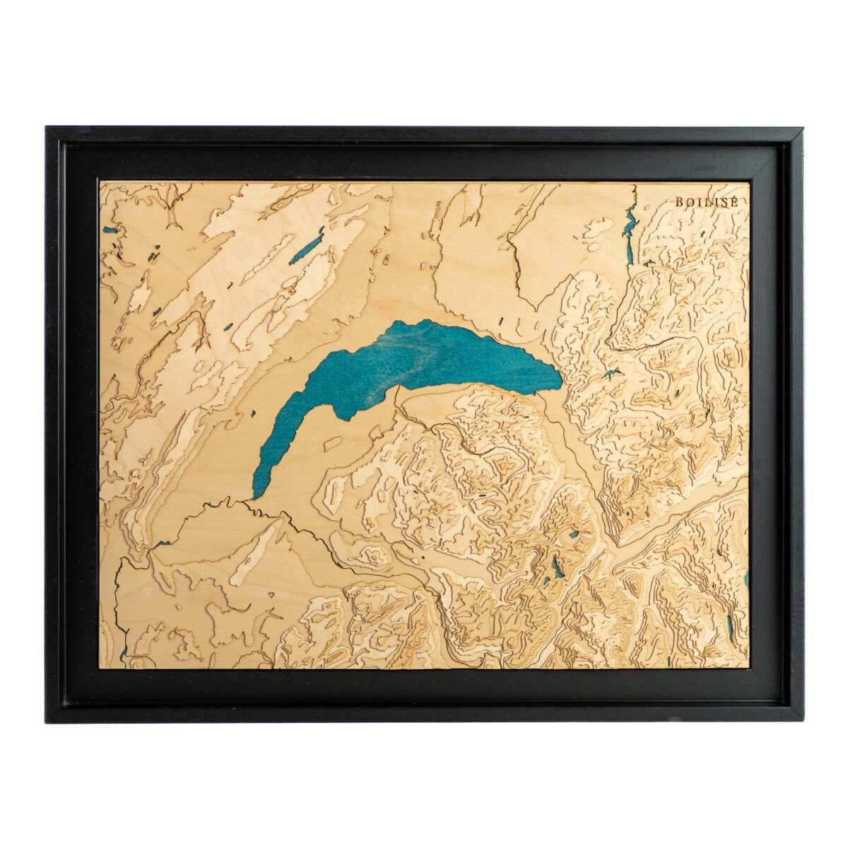 Le tableau qui fait parler dans votre déco : Le lac Léman en relief