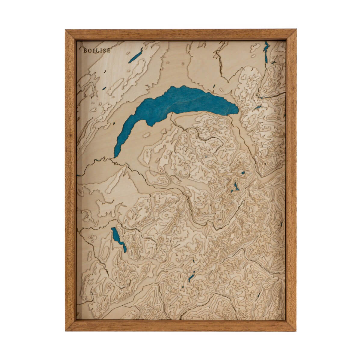 Carte topographique en bois et en relief du lac Léman et de la Savoie