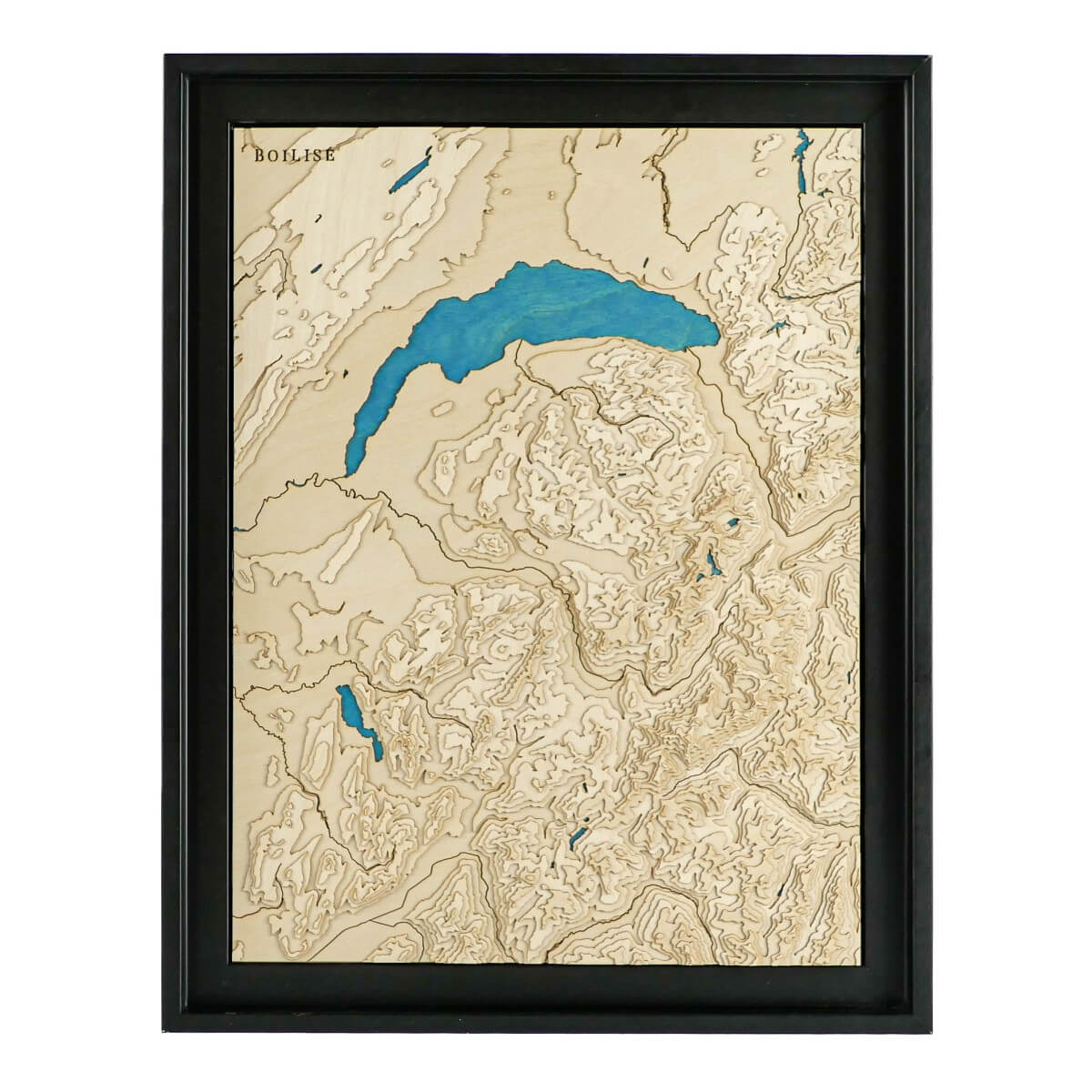 Le tableau qui fait parler dans votre déco : Le lac Léman et la Savoie en relief
