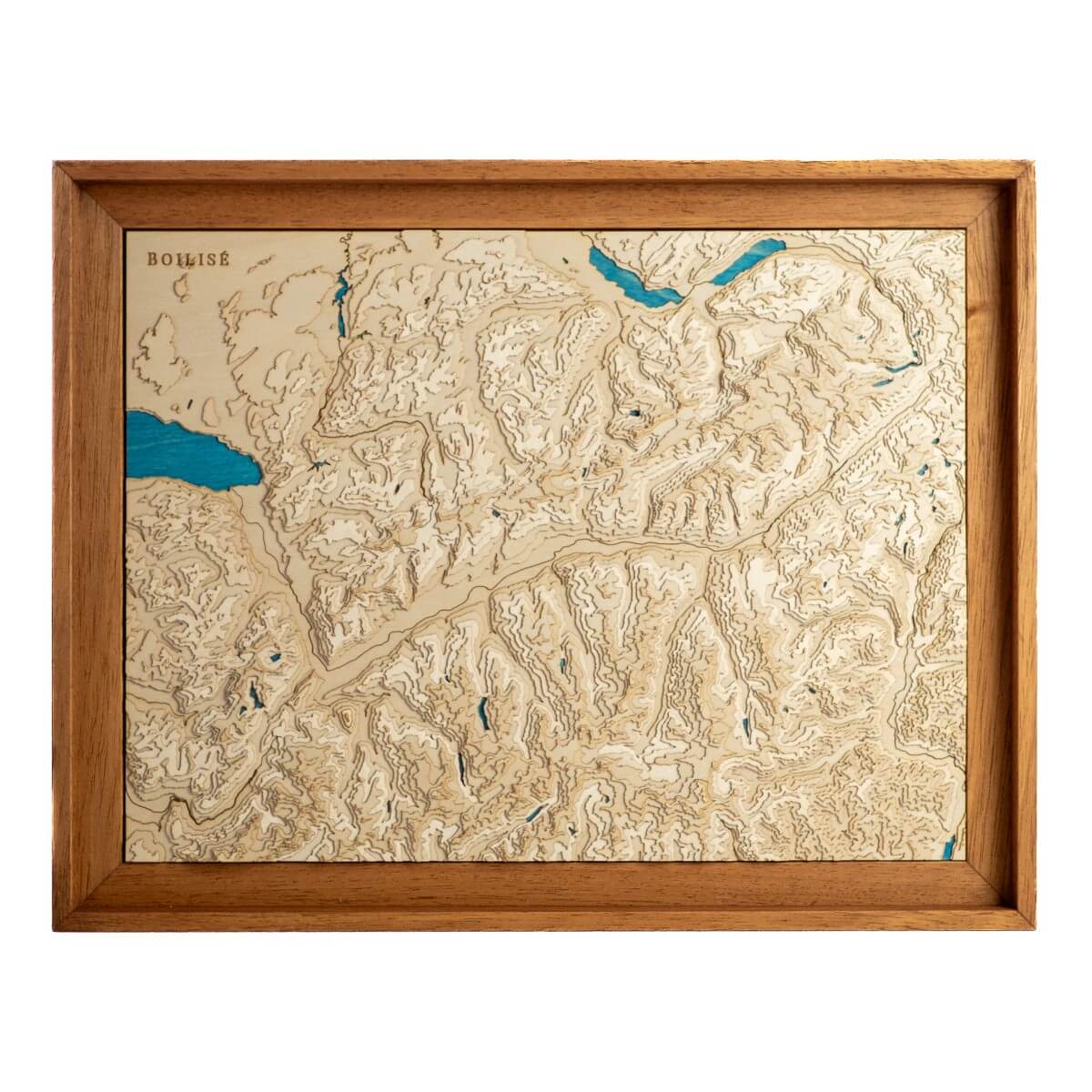 Carte originale de la vallée du Rhône suisse : en bois et en relief