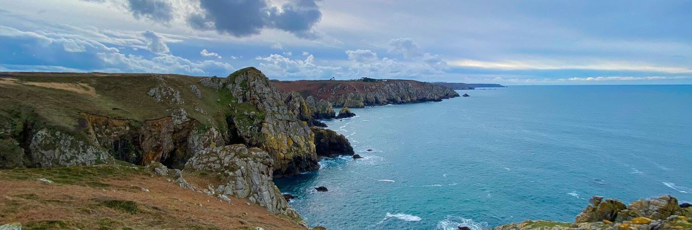 Falaises de la réserve du cap Sizun, Goulien