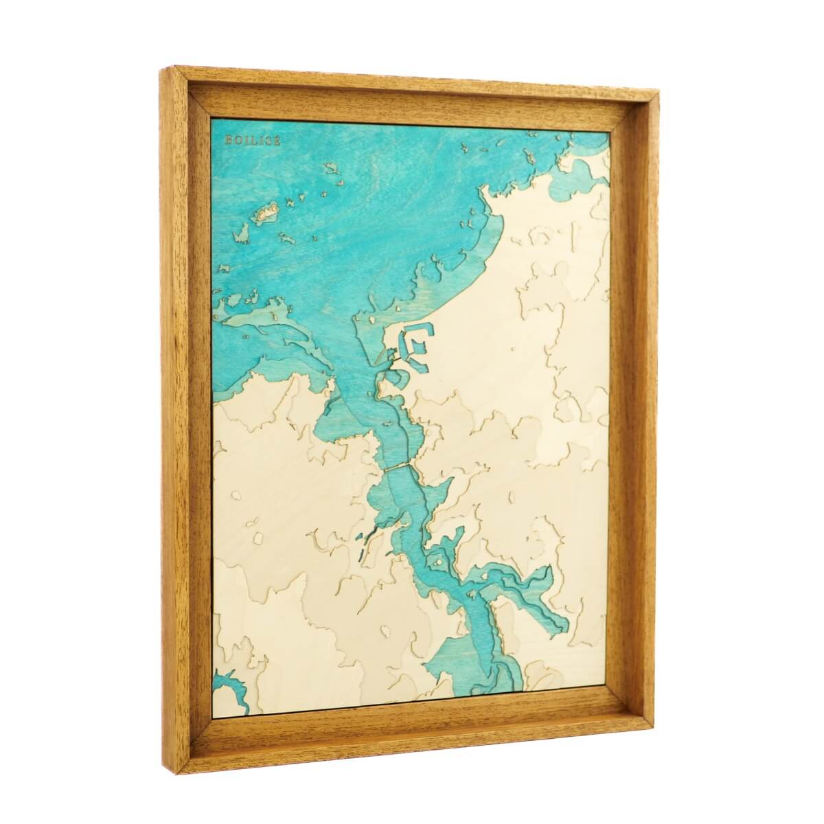 Le relief de l'estuaire de la Rance dans un tableau unique