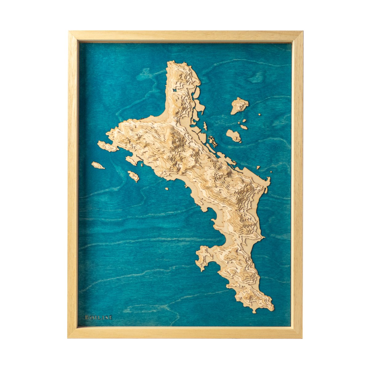 Carte topographique de l'île de Mahé en bois et en relief