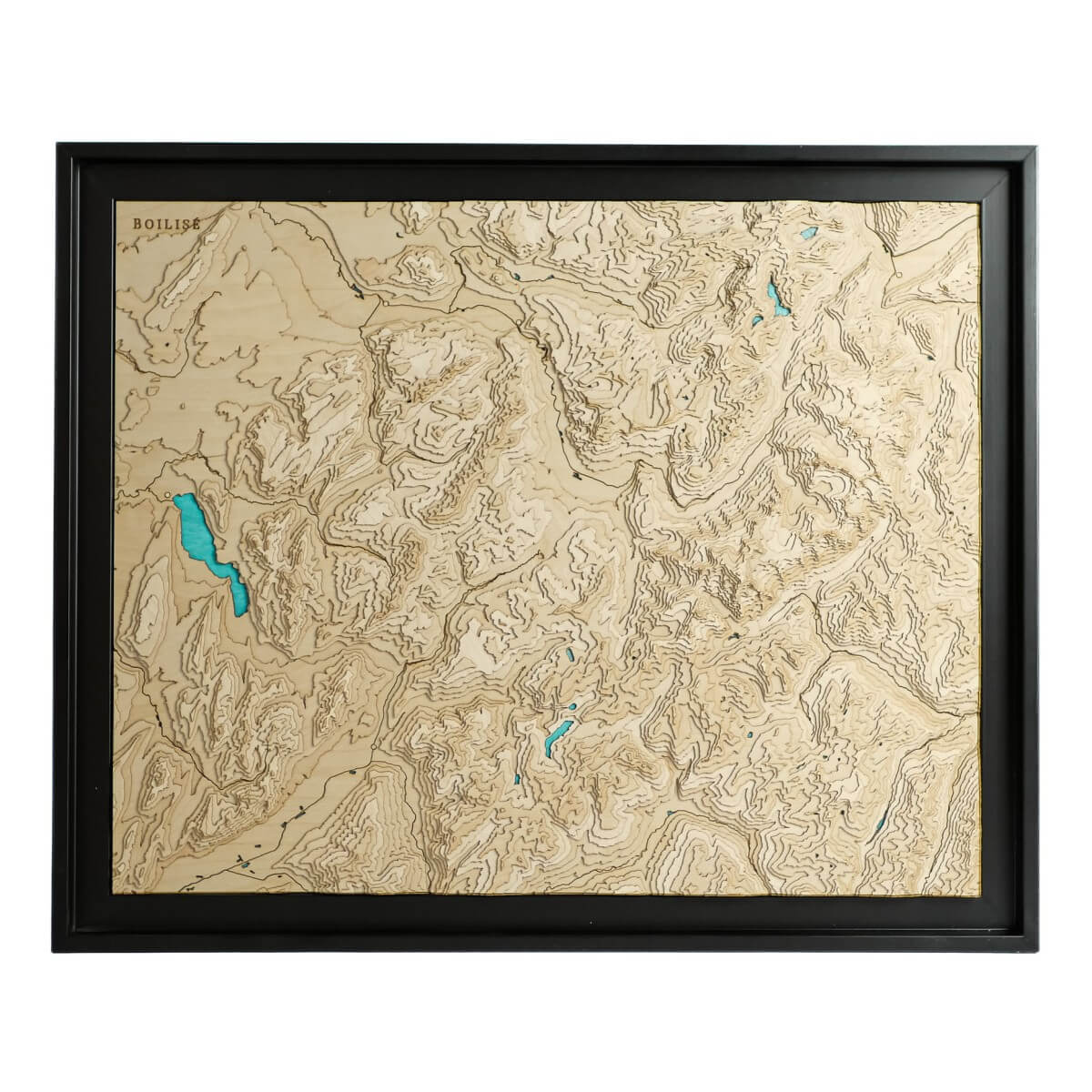 Carte 3D des Alpes